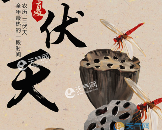 何为三伏天,从什么时候到什么时候?