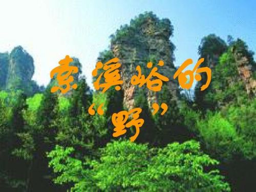 索溪谷的野课文(索溪峪的野的野指什么)-第1张图片-