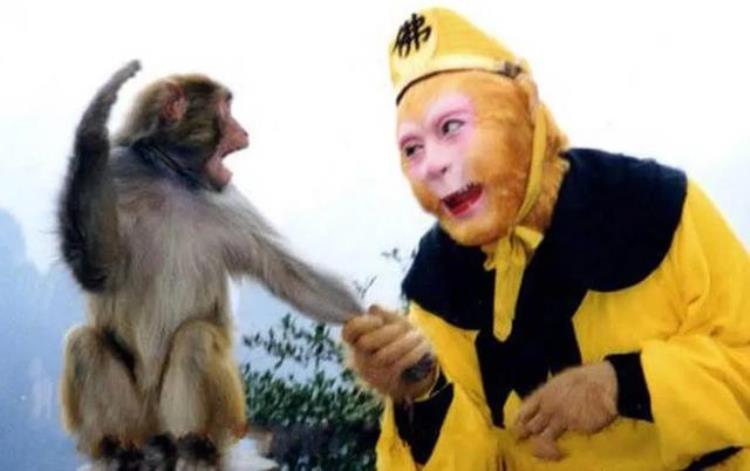 我喜欢追剧的四个理由是什么「我喜欢追剧的四个理由」