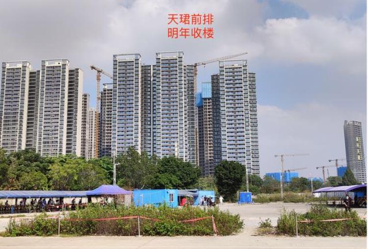 平洲房子会涨吗,佛山平洲中海丽湾尚宸