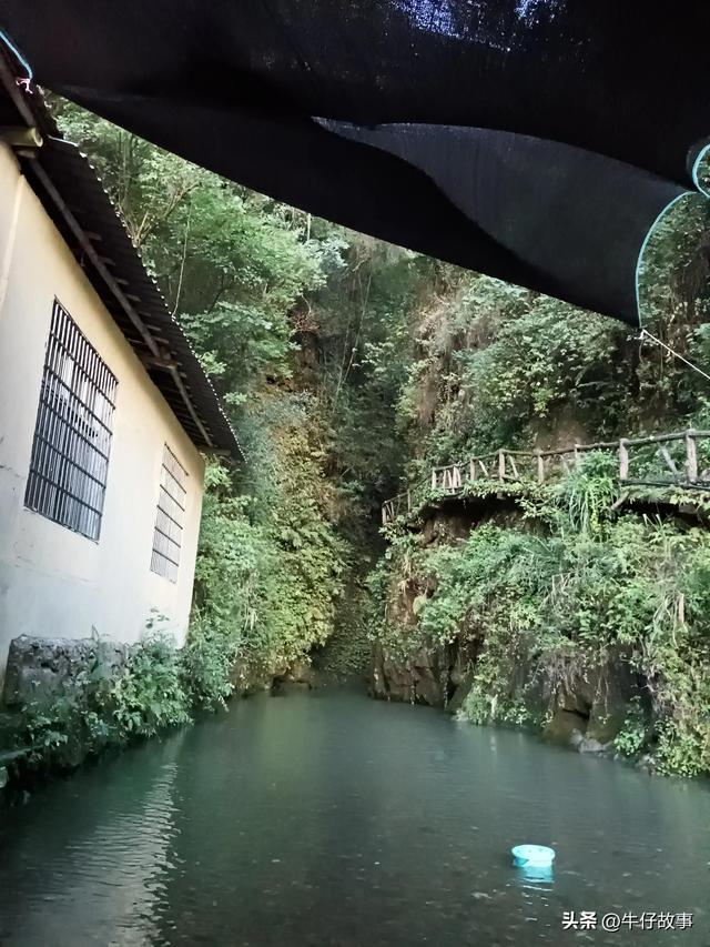 张家界美食小吃推荐（张家界美食记）(7)