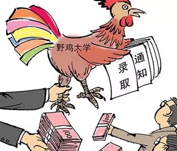 什么是野鸡大学，到底什么是野鸡大学？图10