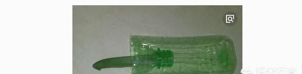 杀蟑螂，有谁知道杀蟑螂的好办法？图8