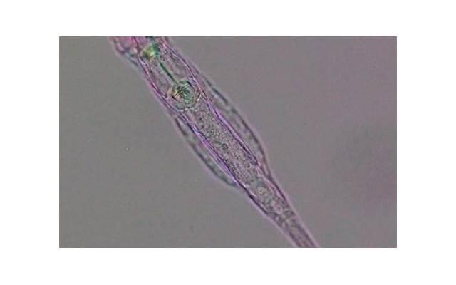 前女友彻底放下的表现-前女友已经放下的表现