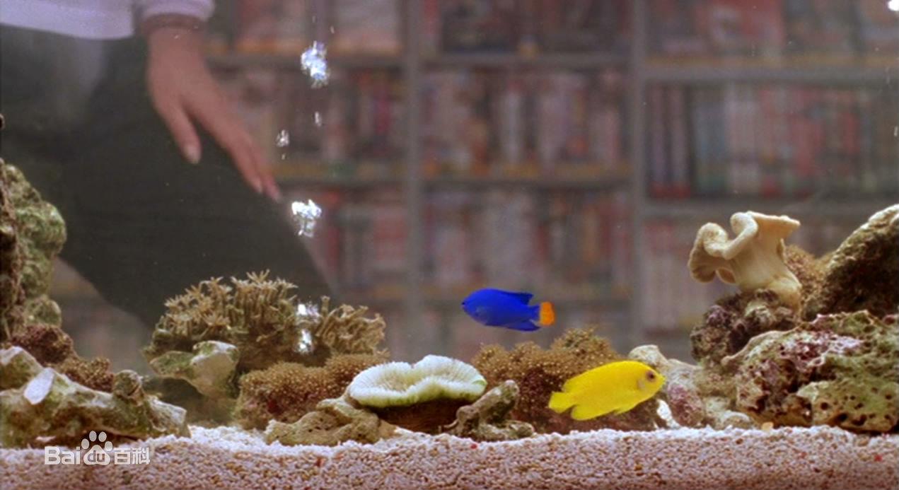 双鱼座是几月份:几年几月几日出生的是属于双鱼座的?