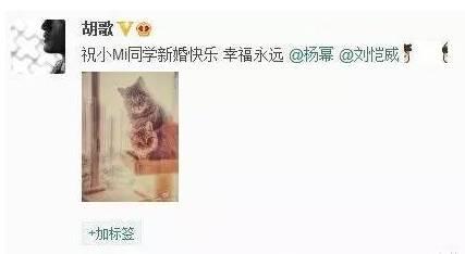 杨幂从来不参加别人婚礼，竟是因为胡歌？！