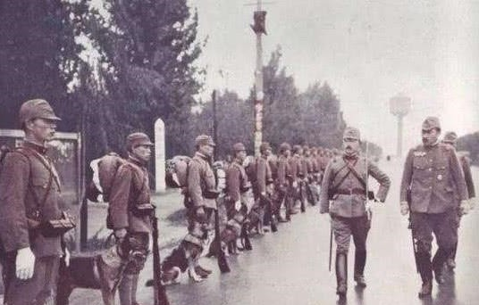 保罗蒂贝茨真的说过,日本让美国道歉图4