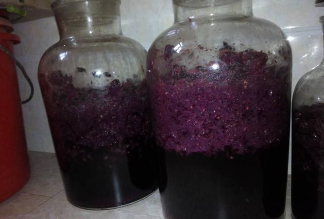 自制葡萄酒发酵几天开始搅拌好