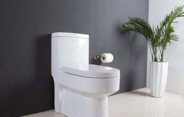 马桶最下面的污垢怎么去除,怎样清理马桶底部的污垢图4