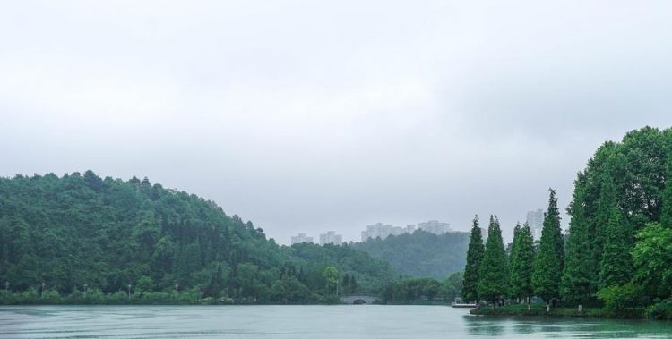 一壶金水欲溶秋的意思