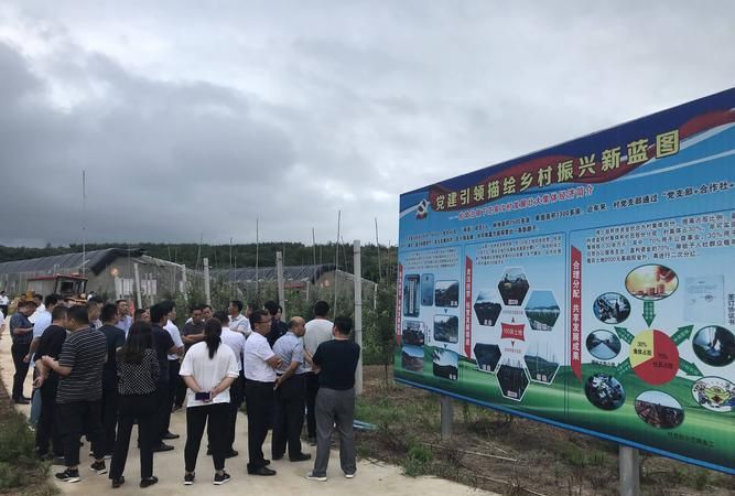 三化三大工程是哪些