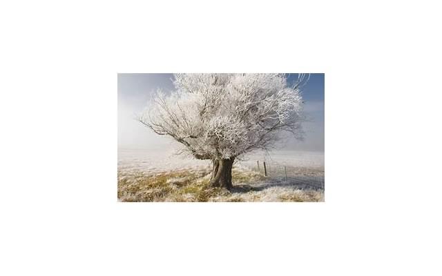 描写家乡美丽的风景写一段话（二年级我的家乡一段话）