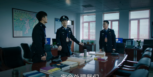 巡回检查组剧情介绍：