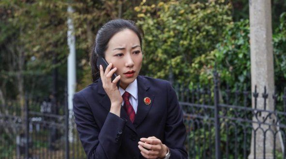 巡回检查组剧情介绍,巡回检察组剧情介绍图4