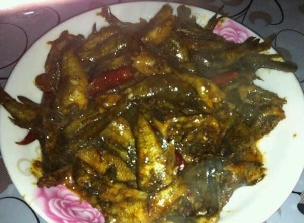 老头鱼，金鱼里老头鱼还能养吗？图7