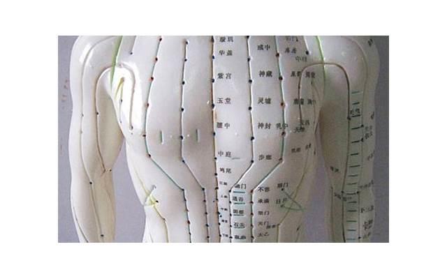 徐佳电视剧 徐佳电视剧作品