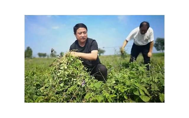 真正爱一个人的最高境界是希望他幸福