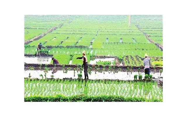 生男孩子的方法（如何生男孩子的方法）