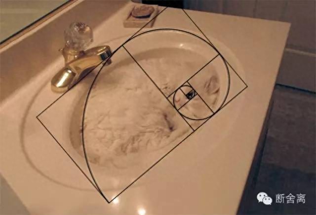 喵星人告诉你什么是斐波那契螺旋线，黄金螺旋构图揭秘