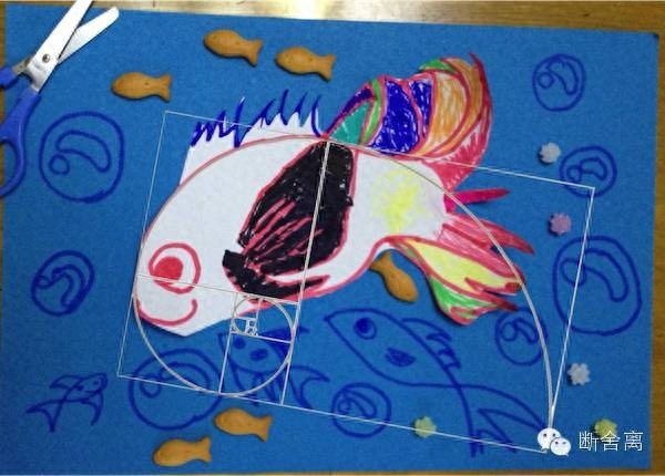 喵星人告诉你什么是斐波那契螺旋线，黄金螺旋构图揭秘