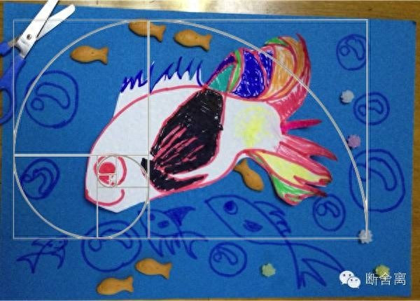 喵星人告诉你什么是斐波那契螺旋线，黄金螺旋构图揭秘