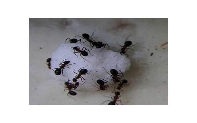 挽回男友经常犯的3个错误