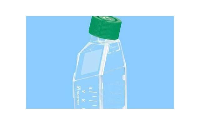 《在聊天室聊擦边球色情话题》推荐25条