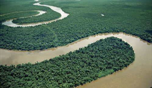 世界上最长的河是什么流经几个国家