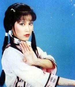 金庸武侠小说之十四——《鸳鸯刀》