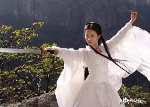 金庸武侠小说之十四——《鸳鸯刀》