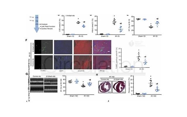  名叫倪素英的87岁独居老人，为抗疫捐出了自己毕生的心血