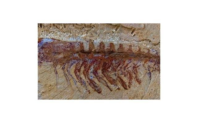 出轨有哪些行为表现