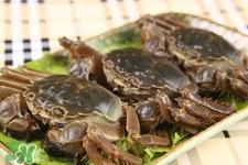 四月份还有螃蟹吗?四月份可以吃螃蟹吗? 四月份还有螃蟹吗?四月份可以吃螃蟹吗?