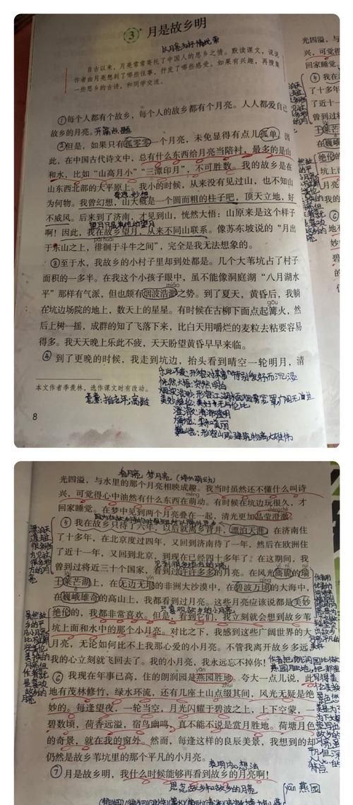 月是故乡明短文第五第六自然段主要讲了什么内容