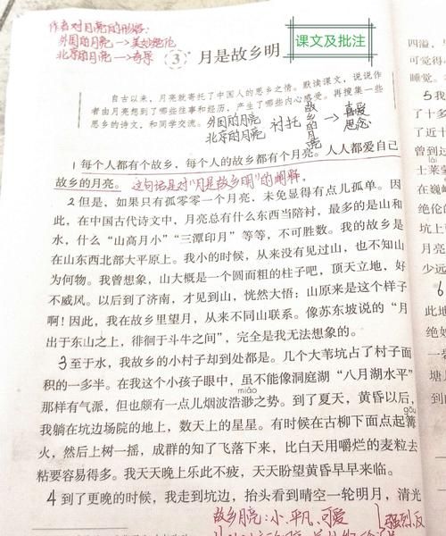 月是故乡明的中心思想