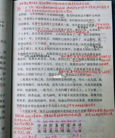 《月是故乡明》文中追忆了童年的那几件事体现了作者怎么样的思想感情
