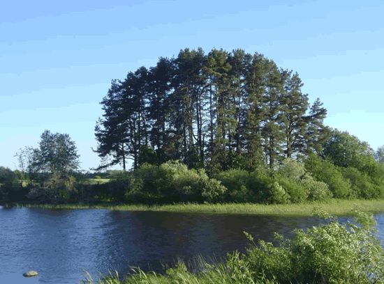 拉脱维亚5000年前狩猎采集者身上发现最早的鼠疫杆菌菌株