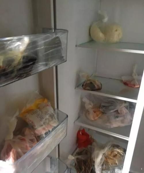 停电后冰箱能冷冻多久冰淇淋