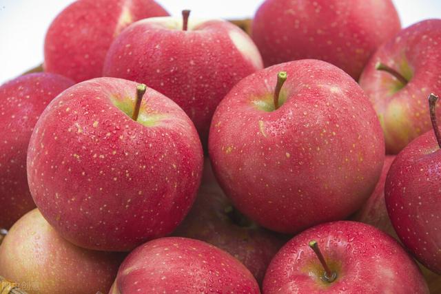 冬季必吃的应季水果看这篇就够了（盘点秋季十款常见的应季水果）(5)