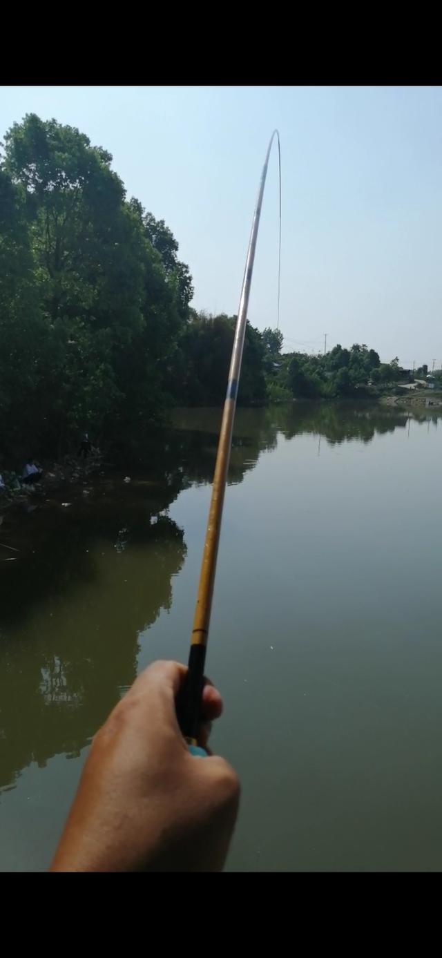 新手野钓鲫鱼技巧（如何更好的野钓鲫鱼）(2)