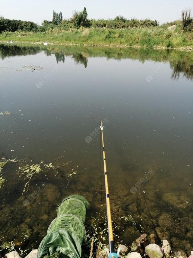 新手野钓鲫鱼技巧（如何更好的野钓鲫鱼）(6)