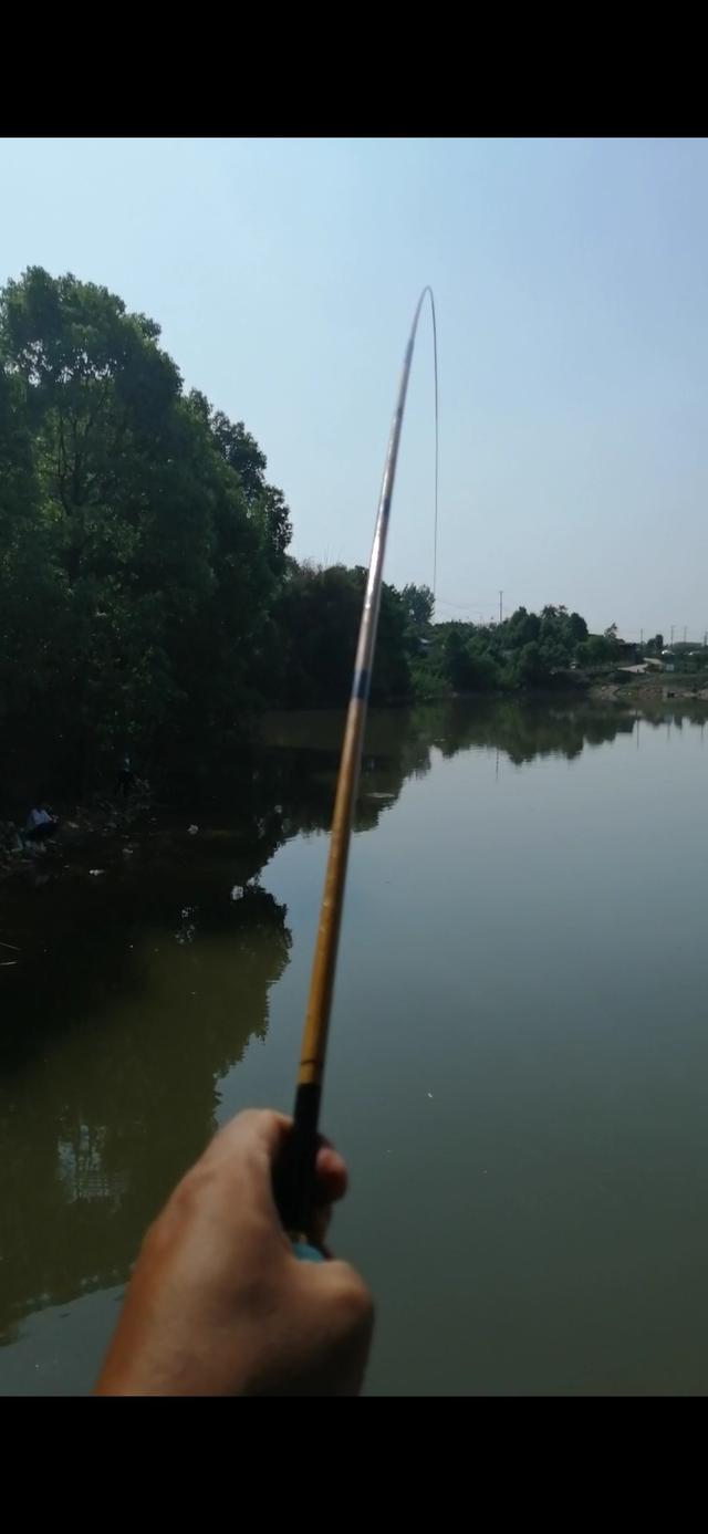 新手野钓鲫鱼技巧（如何更好的野钓鲫鱼）(12)