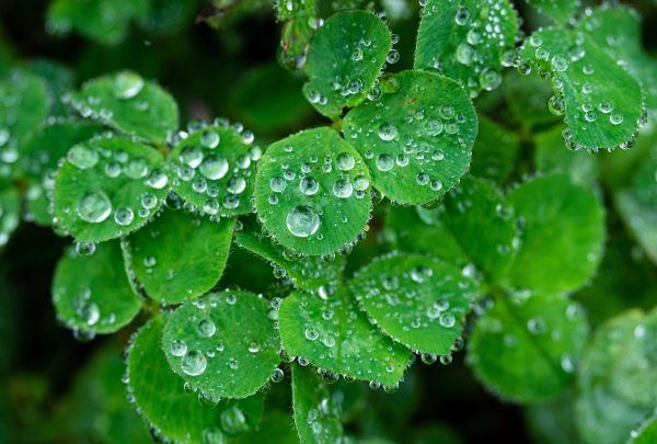 小雨的降雨量标准是多少,小雨是指在24小时内降雨量小于多少毫米图3