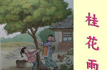 桂花雨划分段落,五年级上册《桂花雨》教案图4