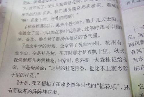 五年级上册《桂花雨》教案