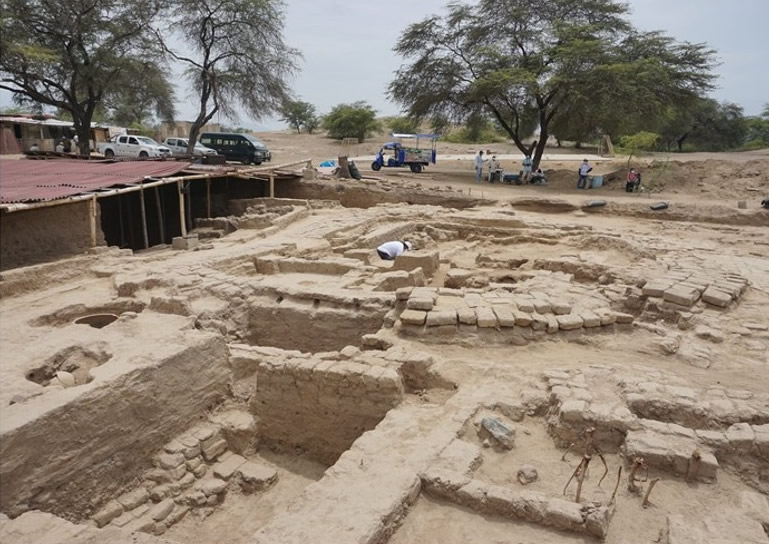 秘鲁近海城市兰巴耶克一个遗址发现29副骸骨 其中4副与瓦里文明有关