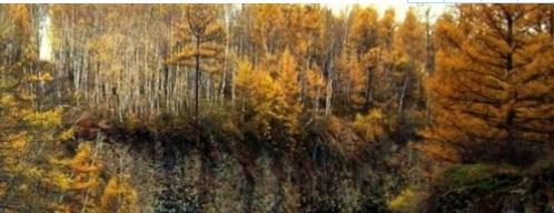 我国最“调皮”的河流，出国一圈再回来，网友：有点“可爱”