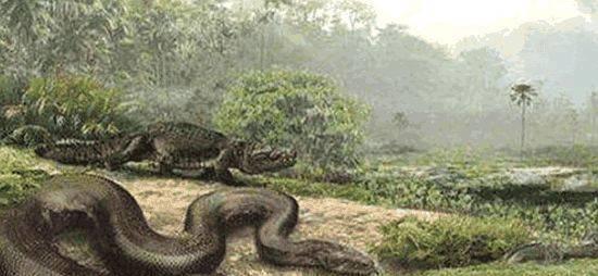 最大的巨蟒,蛇身长15米有五层楼高