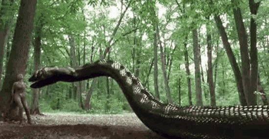 最大的巨蟒,蛇身长15米有五层楼高