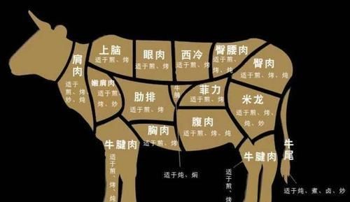 西餐中的牛排有哪些种类